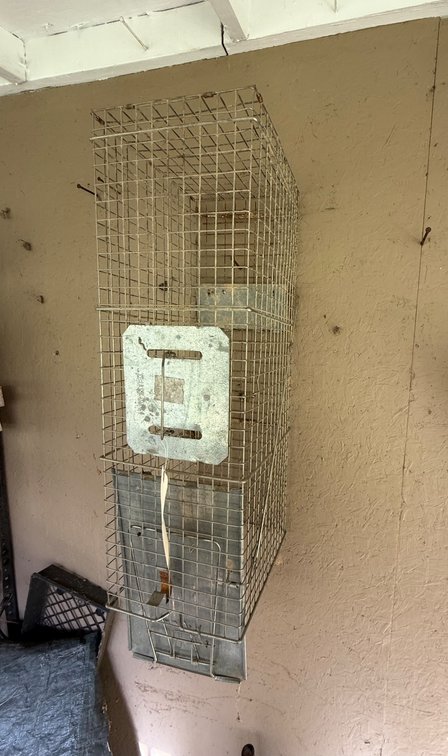 Metal Wire Live Animal Trap