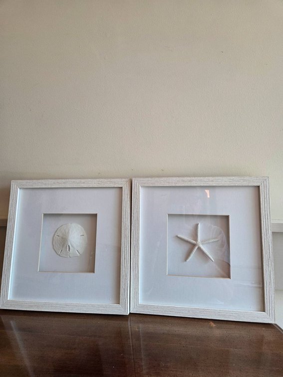 Star Fish and Sand Dollar Framed Wall Decor
