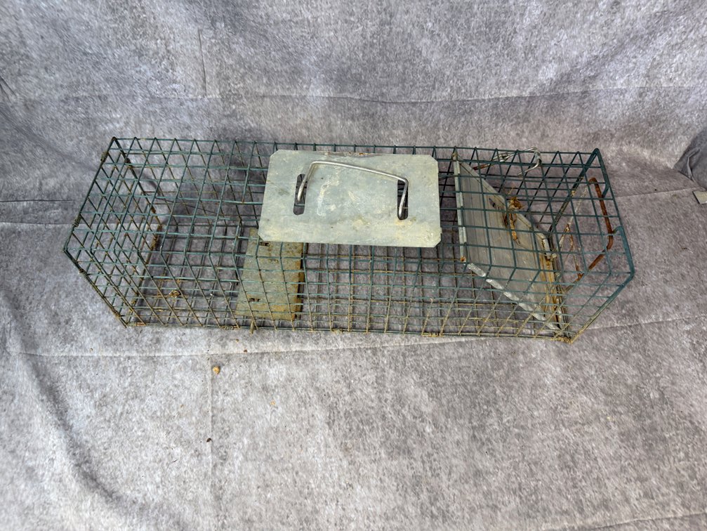 Wire Mesh Live Animal Trap