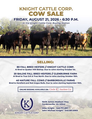 Image for Knight Cattle Corp.- Annual Fall Bred Female Sale