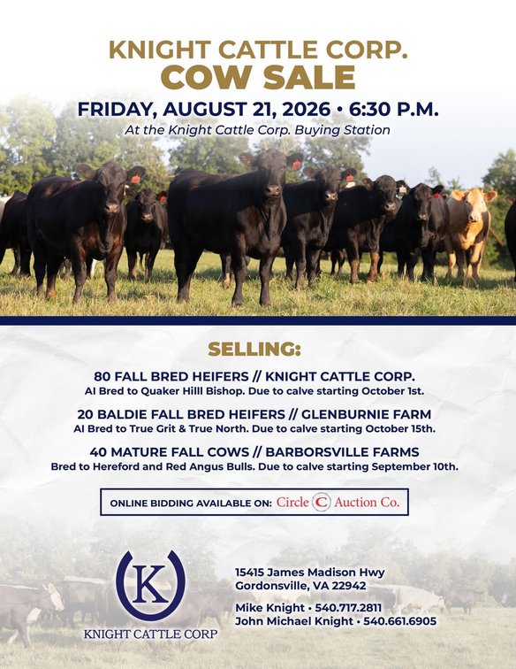 Image for Knight Cattle Corp.- Annual Fall Bred Female Sale