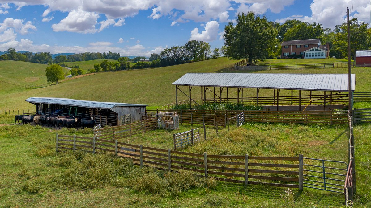 Image for Rose Hill Farm Real Estate Auction – 84± Acre Farm