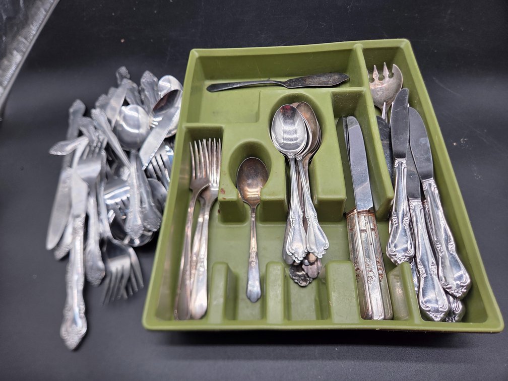 Stainless Steel Flatware with Plastic Organizer Tray