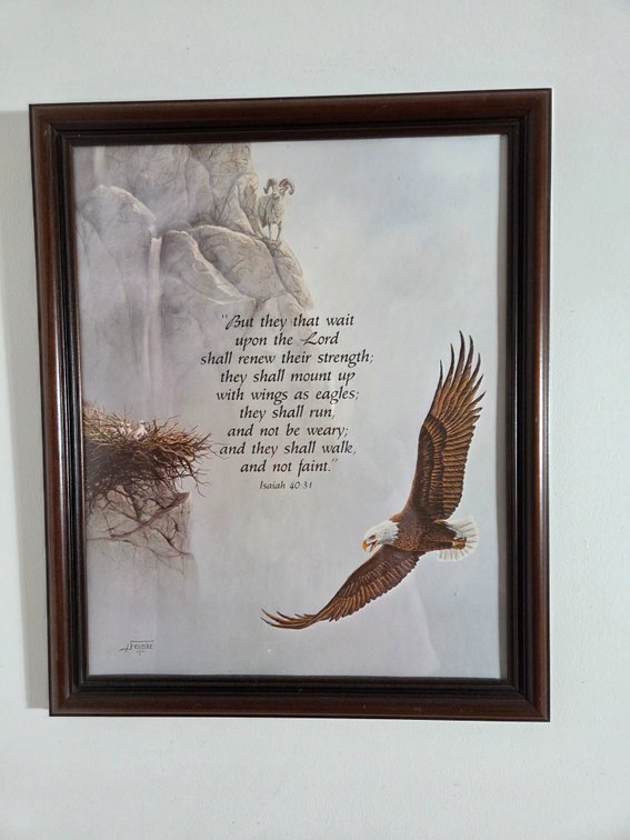 Fenske Framed Isaiah 40:31 Eagle Art Print