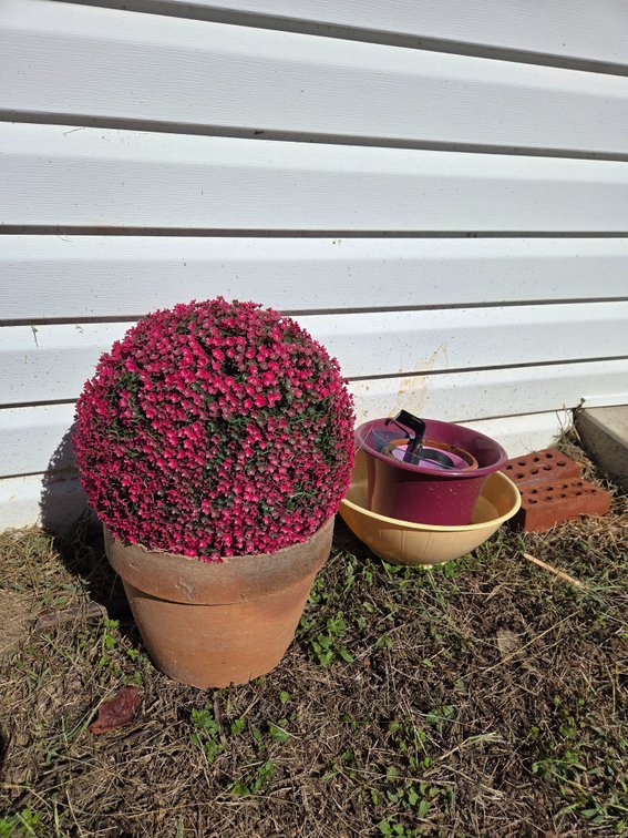Faux Floral Topiary, Planters, Bricks, and More