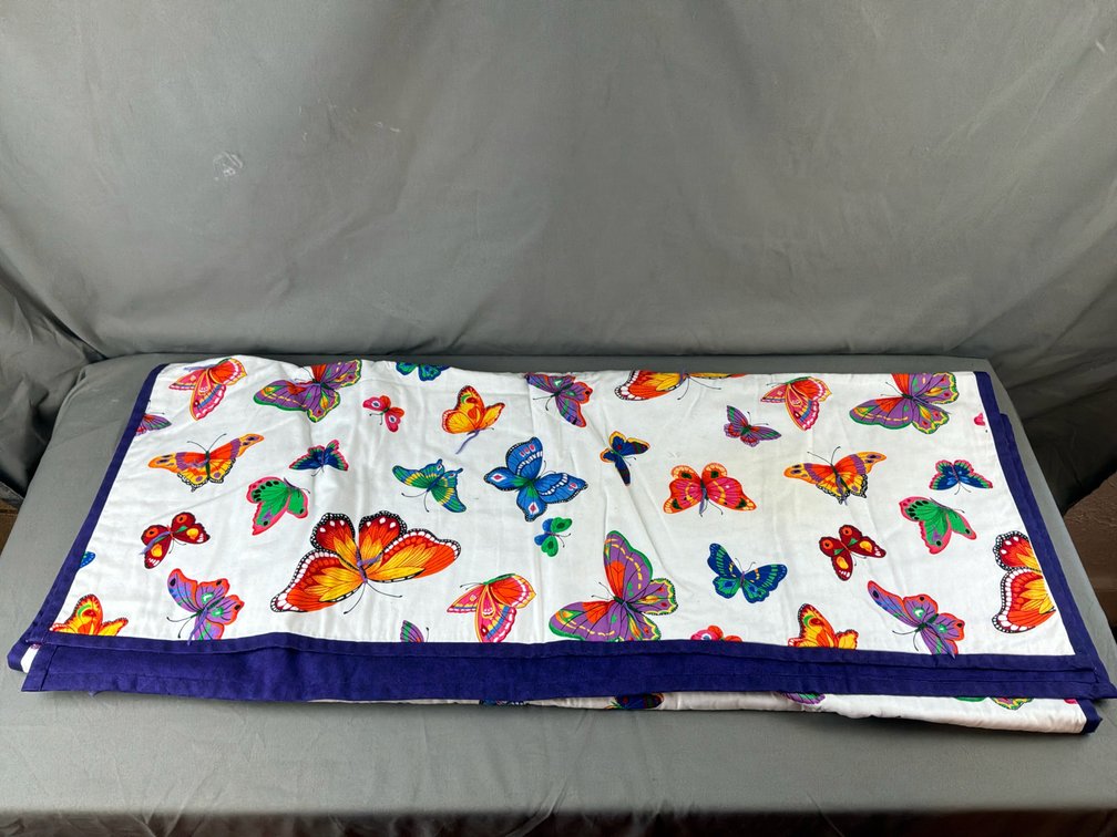 Butterfly Print Quilt with Purple Backing