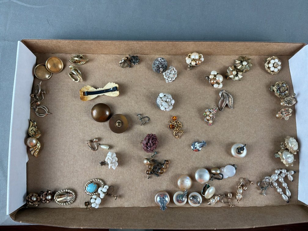 Costume Earrings, Brooch, Hair Clip, and Buttons