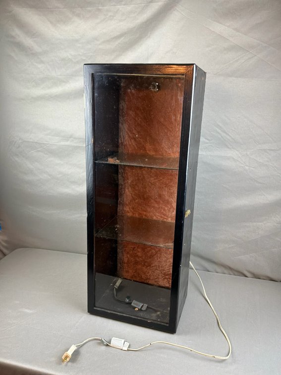 Black Lighted Wood and Glass Curio Display Cabinet