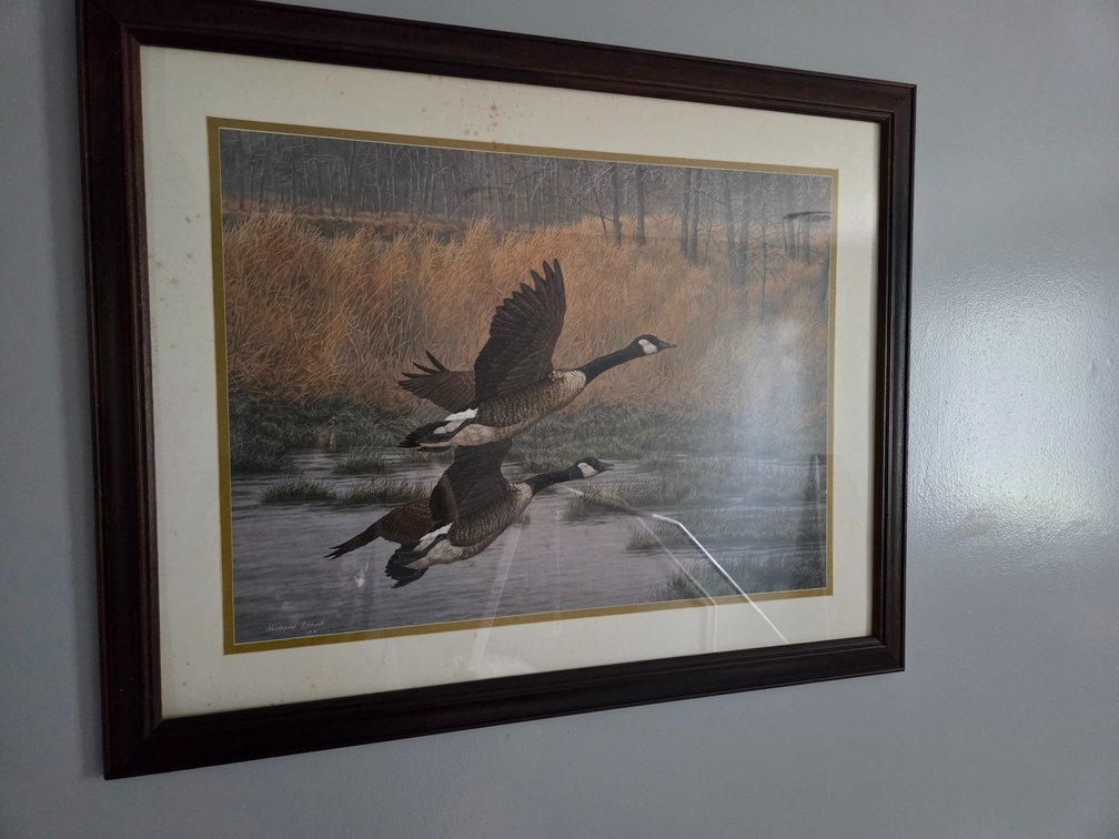 Christopher Forrest Framed Canada Geese Art Print
