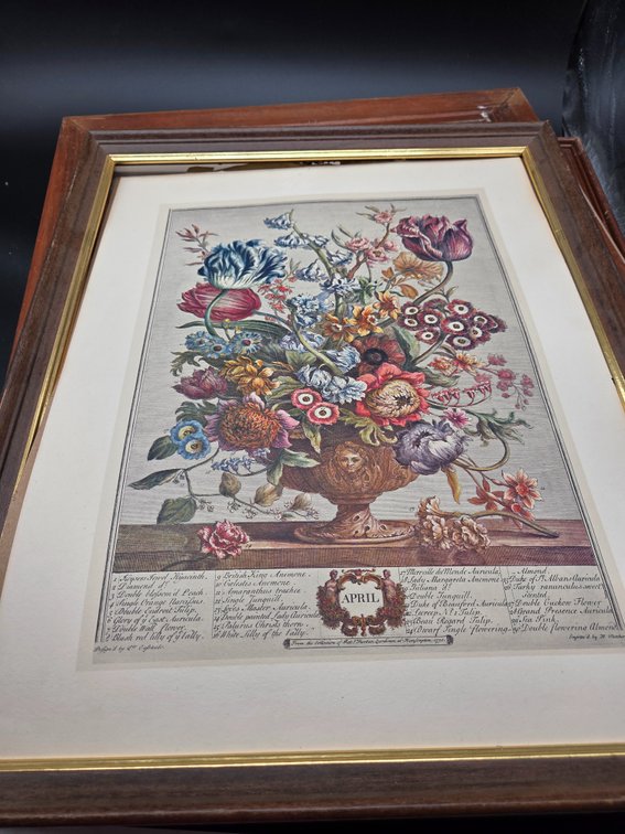 Framed Art Prints, Botanical Print, and Float Frame