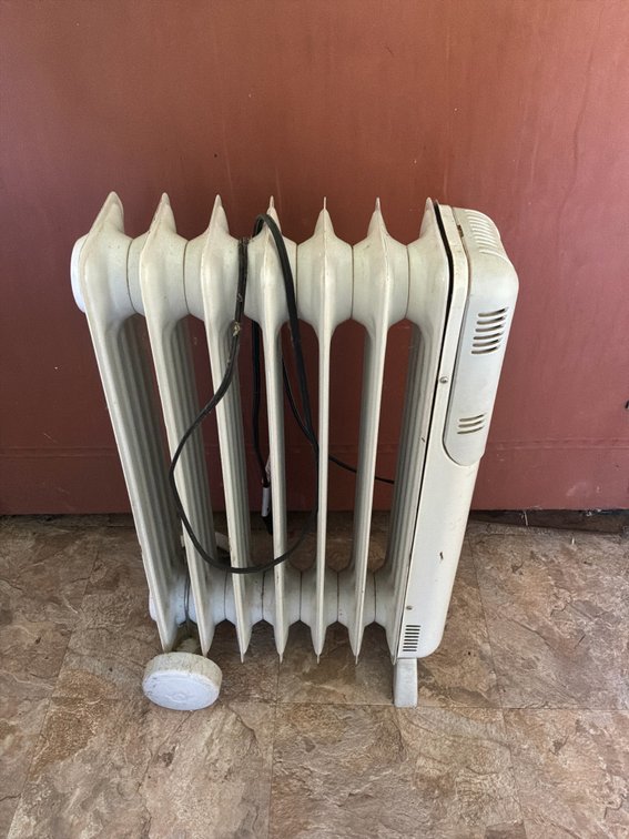 Lakewood 1500W 7-Fin Oil-Filled Radiator Heater