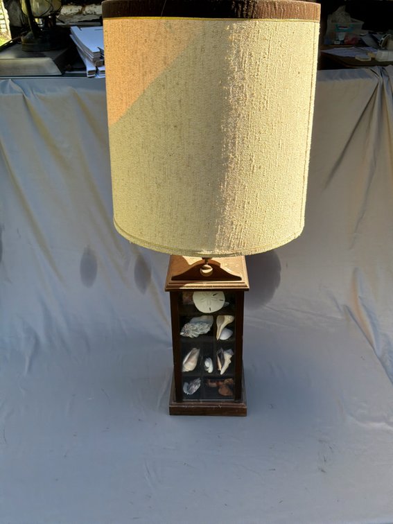 Wooden Shadowbox Table Lamp with Seashell Display