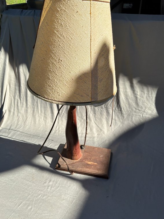 Polished Horn Table Lamp with Fabric Shade