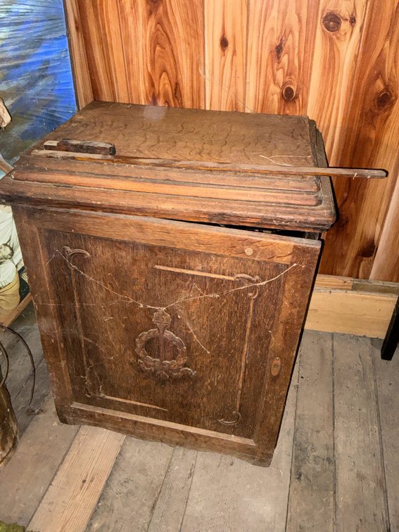 Treadle Sewing Machine in Carved Oak Cabinet