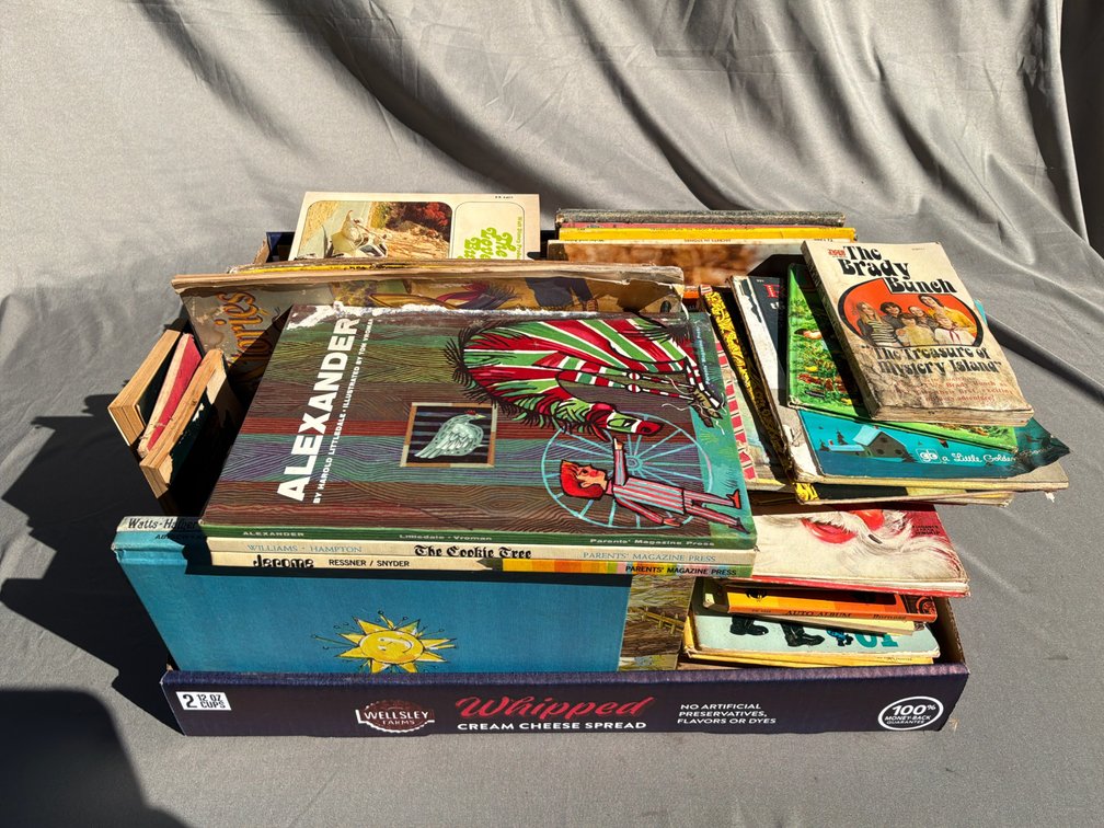 Children's Illustrated Books and Storybooks