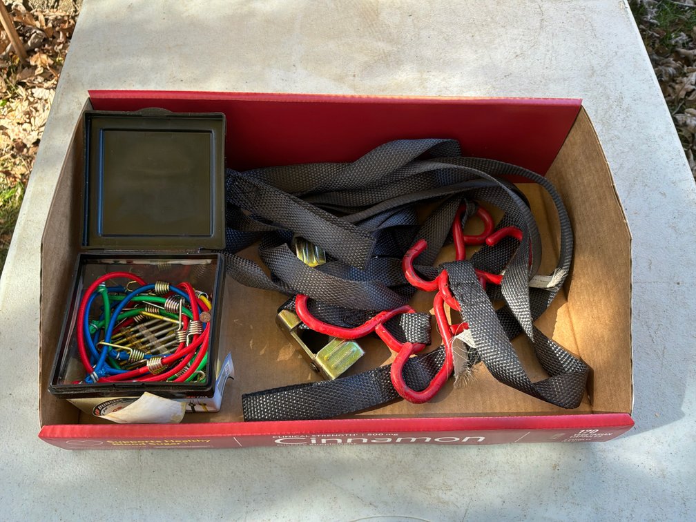 Cam Buckle Tie-Down Straps and Mini Bungee Cords