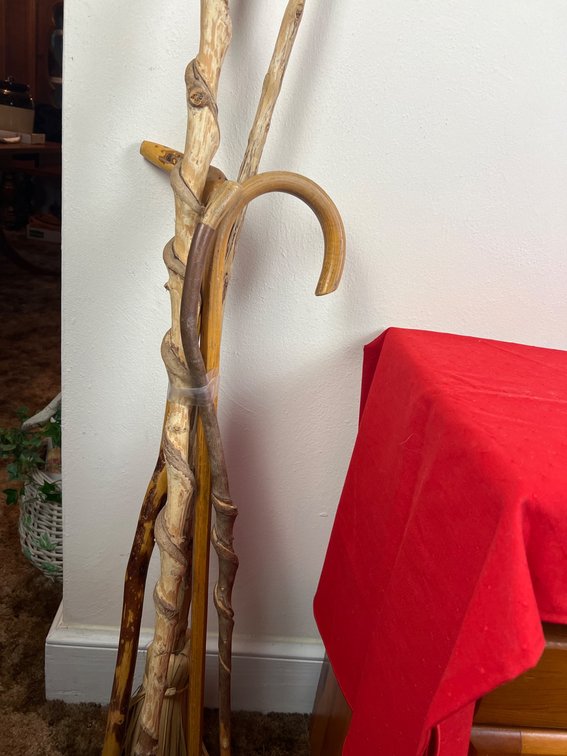 Carved Wooden Walking Sticks