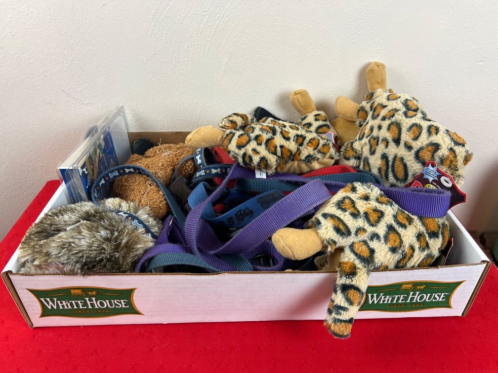 Dog Toys and Leashes