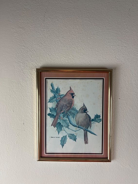 Framed Prints by John W. Taylor and Gloria Eriksen