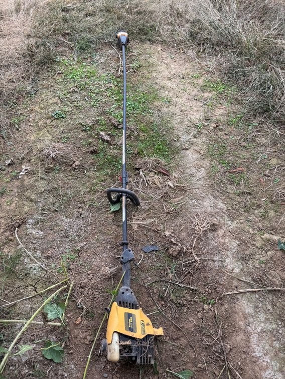 Poulan Pole Saw