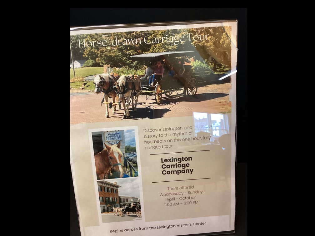 Horse Drawn Carriage Tour