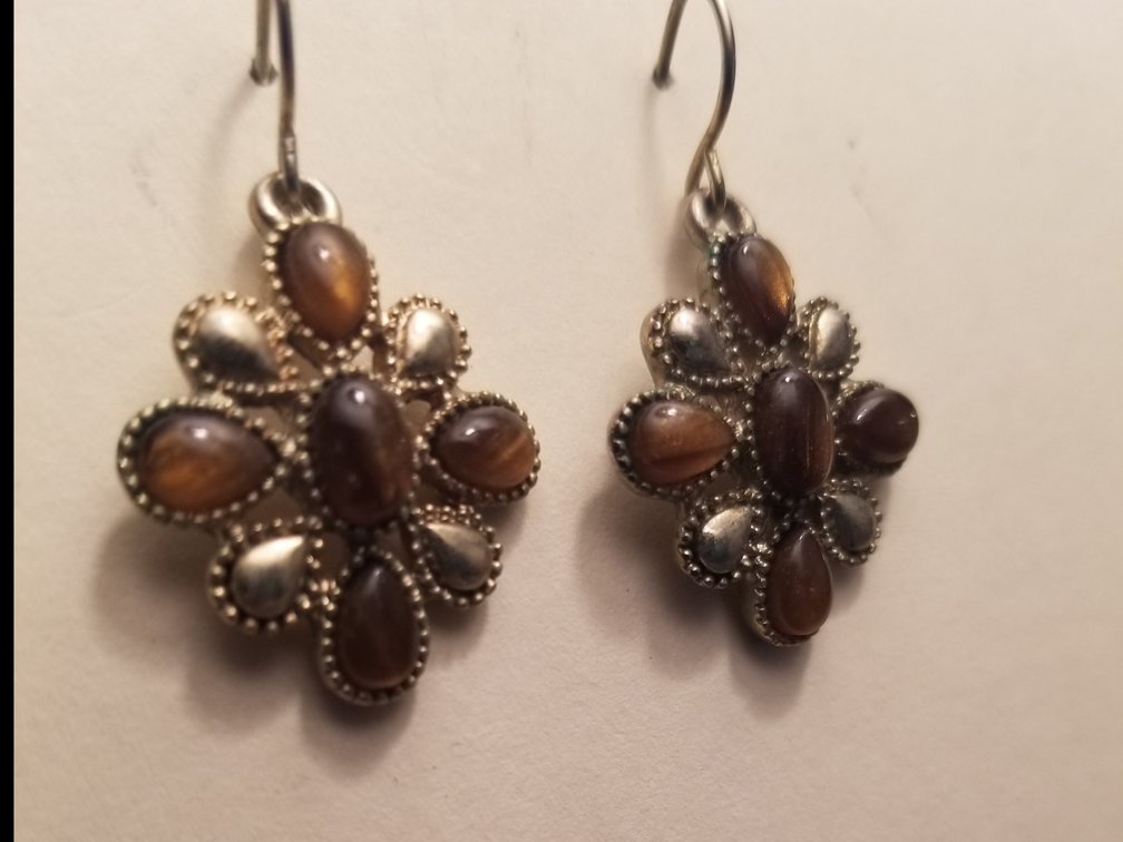 Pair of Chaps Earrings 