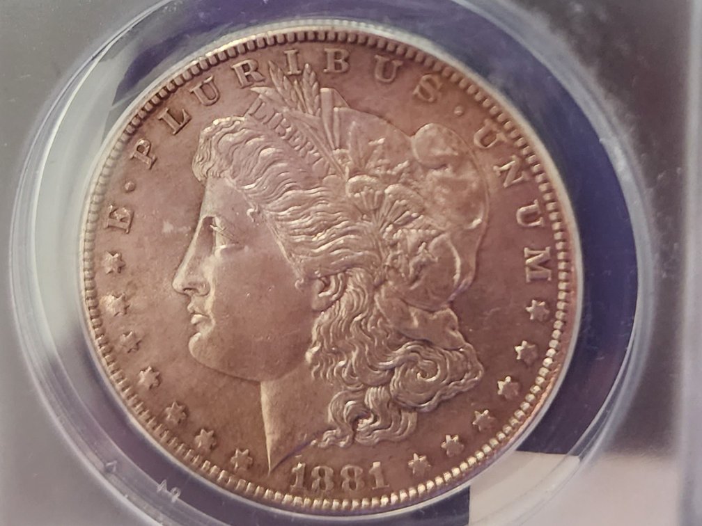 1881 S Morgan dollar MS 61
