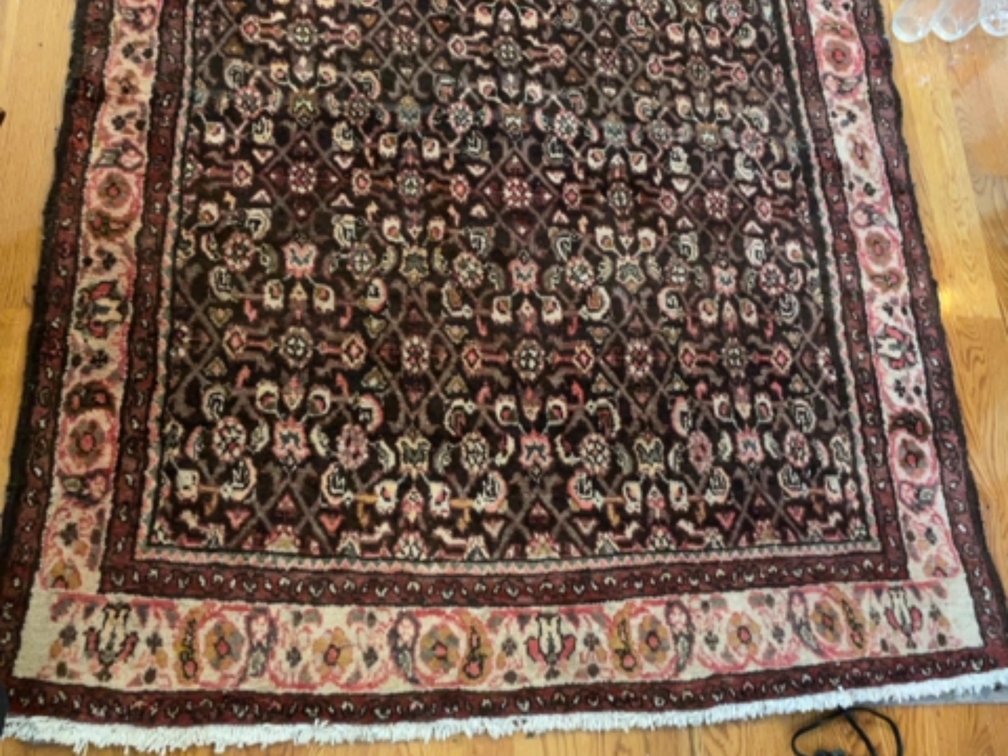 Woven oriental rug; 51” x 113”