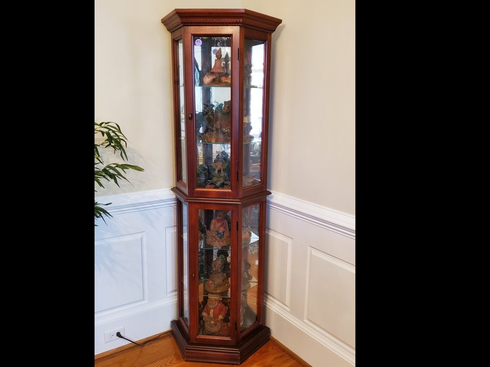 Lighted Curio Cabinet with Mirrored Back