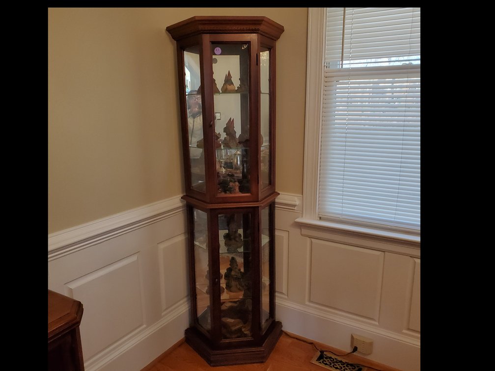 Lighted Curio Cabinet with Mirrored Back