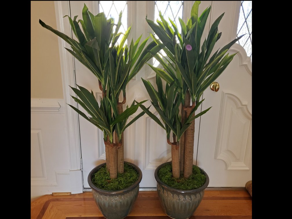Faux Potted Plants in Ceramic Pots