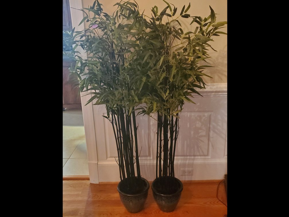 Faux Bamboo Plants in Ceramic Pots
