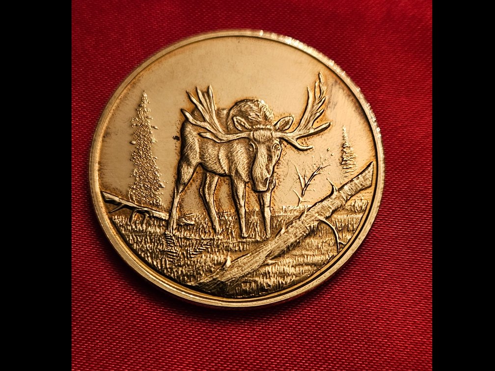 Gold Alaska The Last Frontier Token