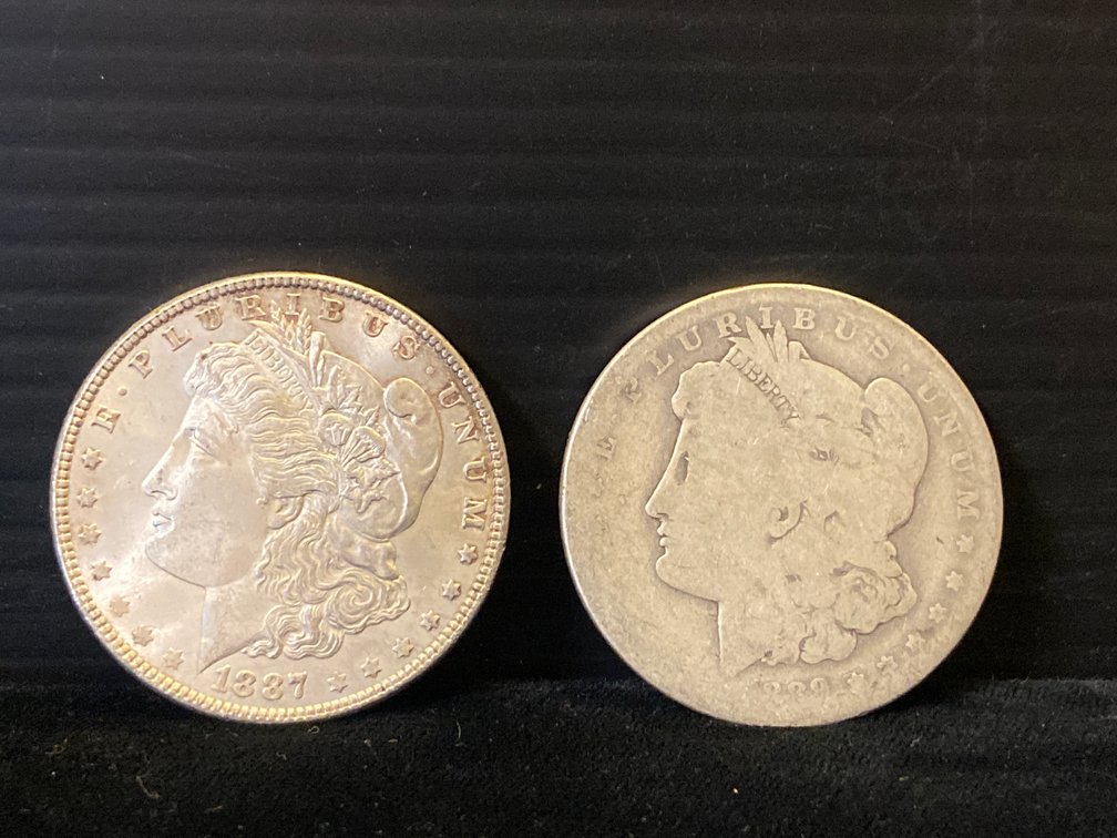 Two Morgan Silver Dollars