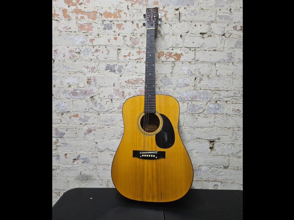 Hohner Model HGK596 Guitar