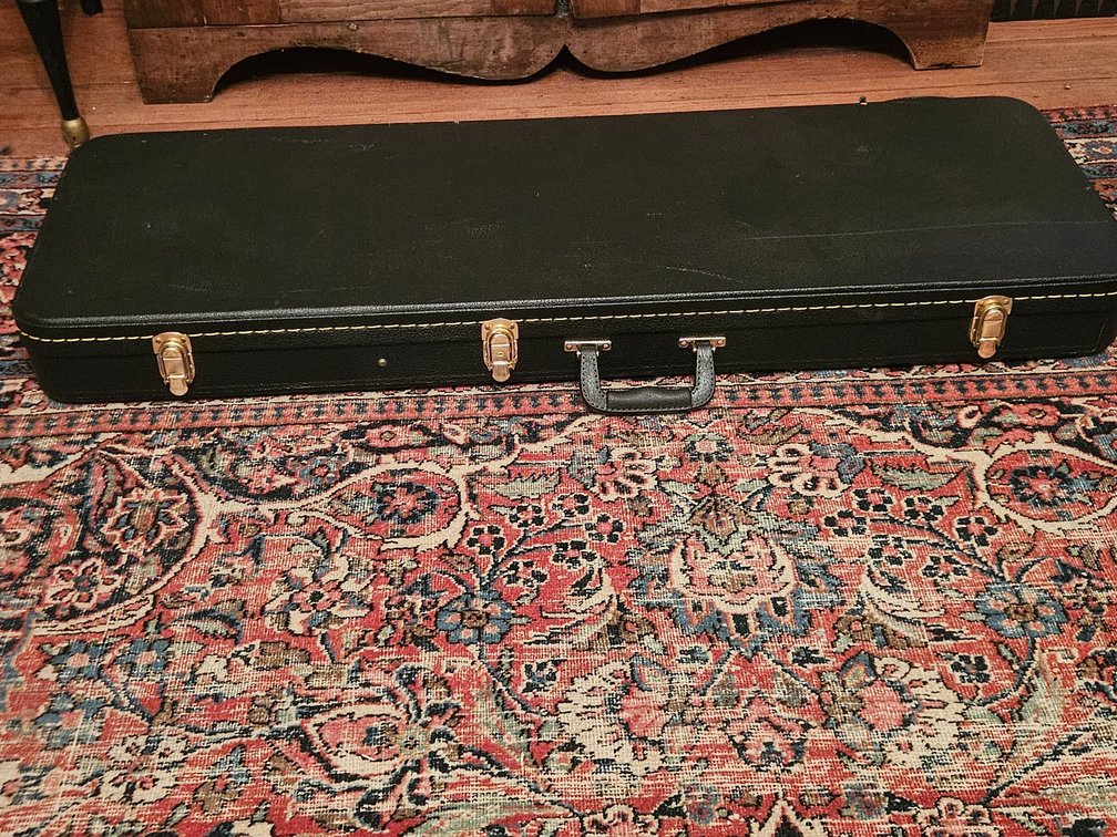 Electric Guitar Case