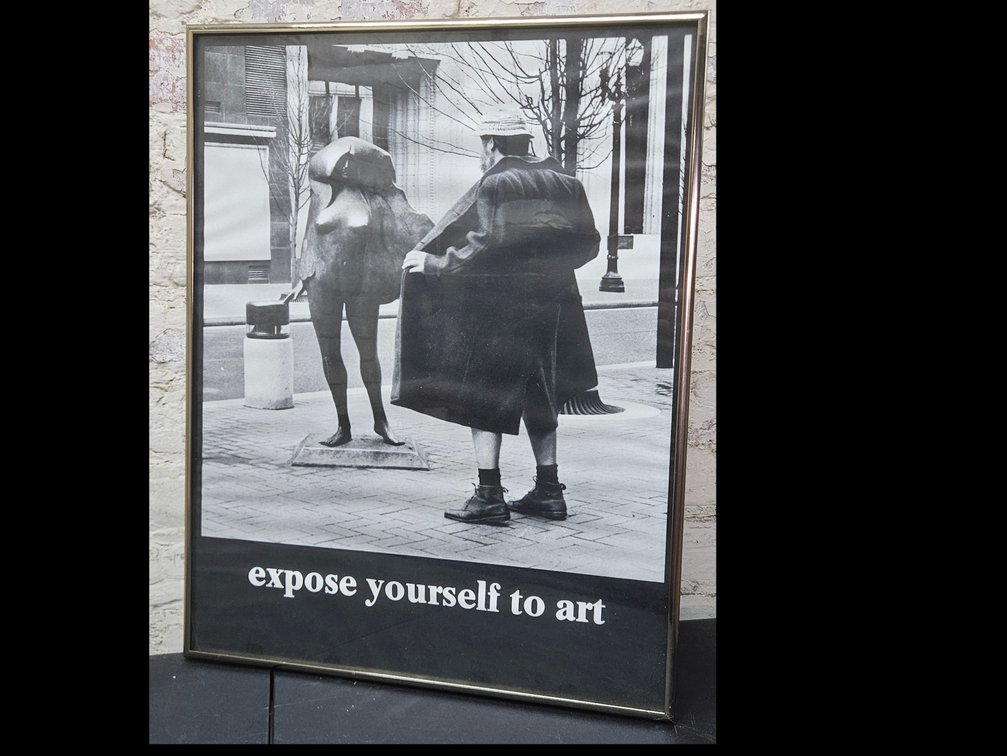 "Expose Yourself to Art" Framed Print