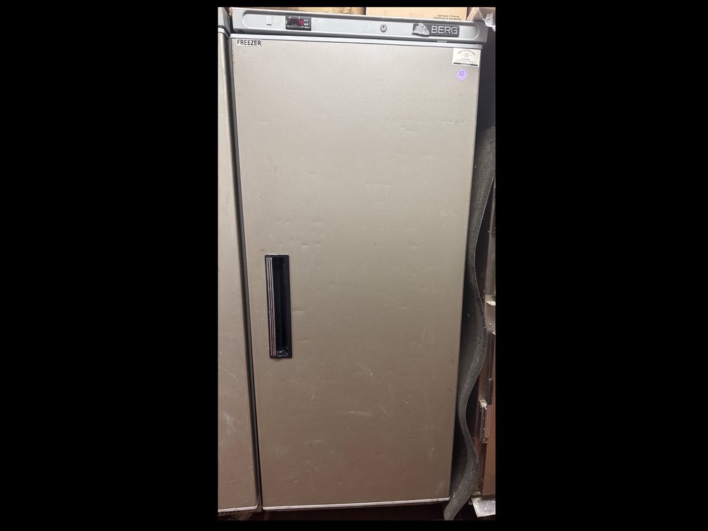 Berg Single-Door Stainless Freezer