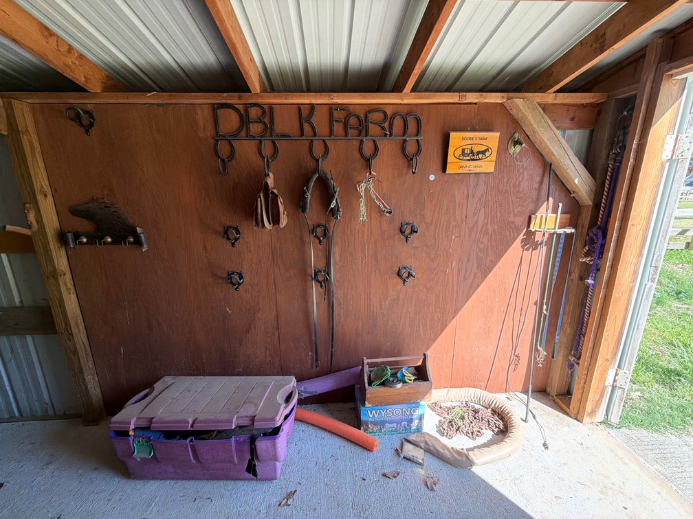 Miscellaneous horse grooming tools, hanging horseshoe rack, etc