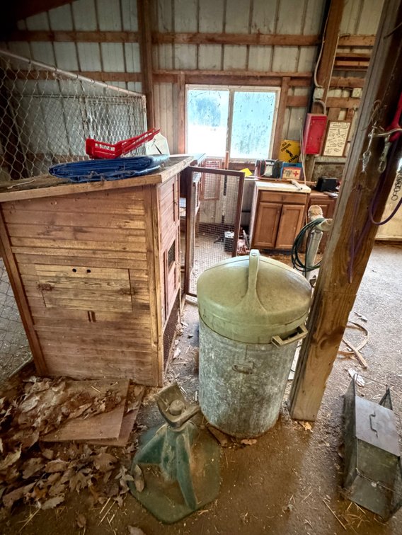 Small animal housing (rabbits, etc), storage cans, two small storage cabinets, etc