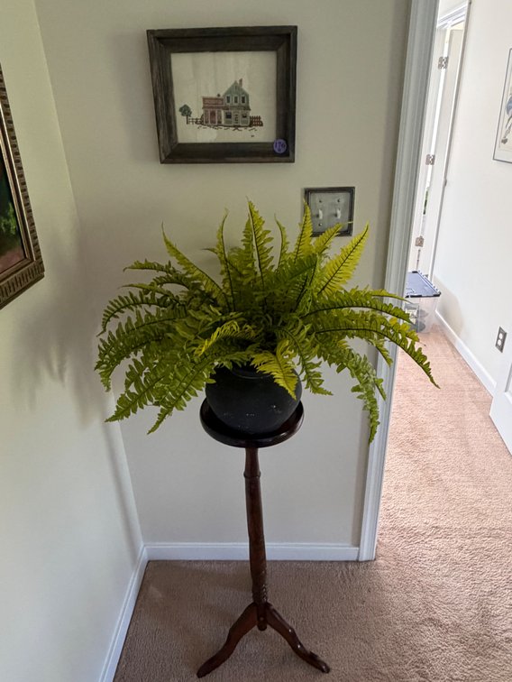 Vintage plant stand, green fern, and cross stitch framed picture lot