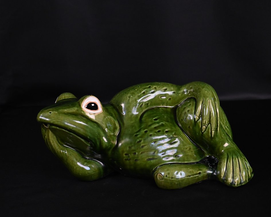 Relaxing Frog