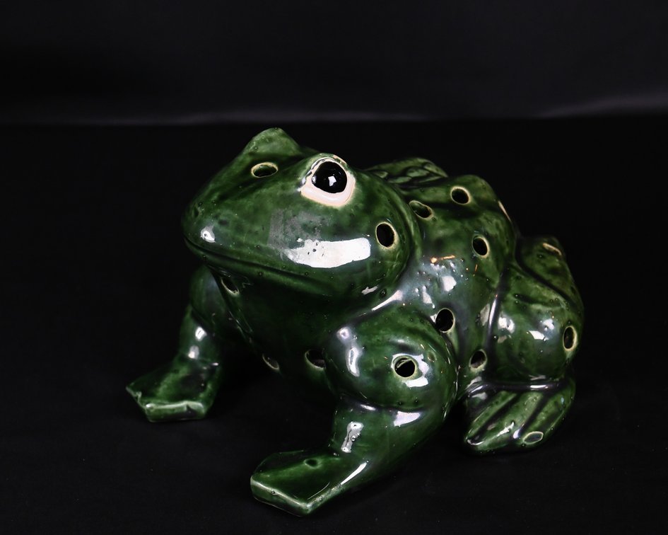 Ribbit Frog