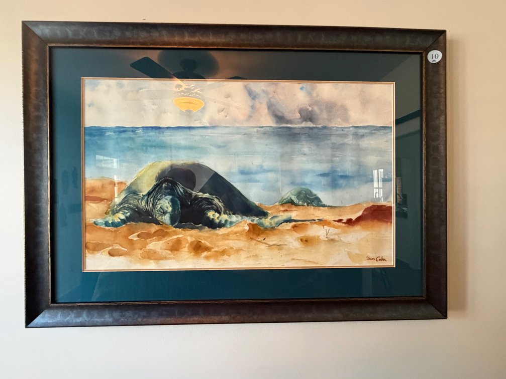 A framed watercolor painting of a sea turtle