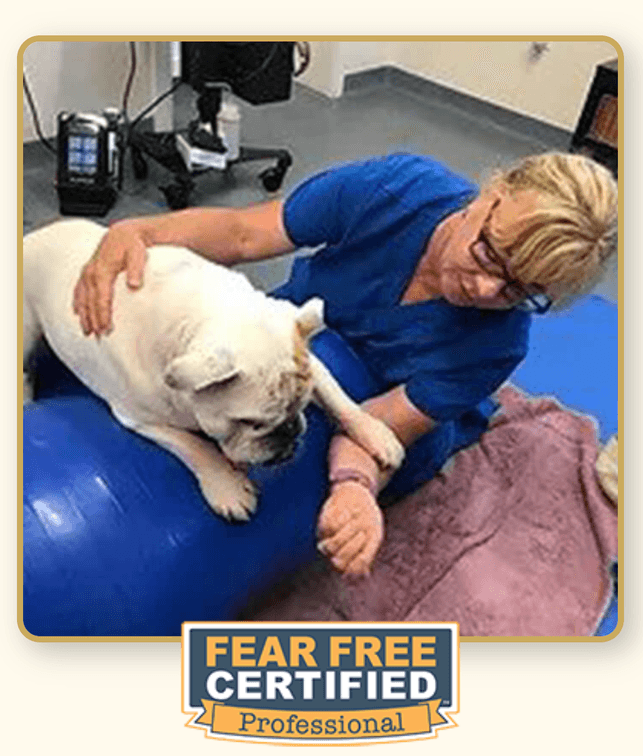 One Hour Pet Massage