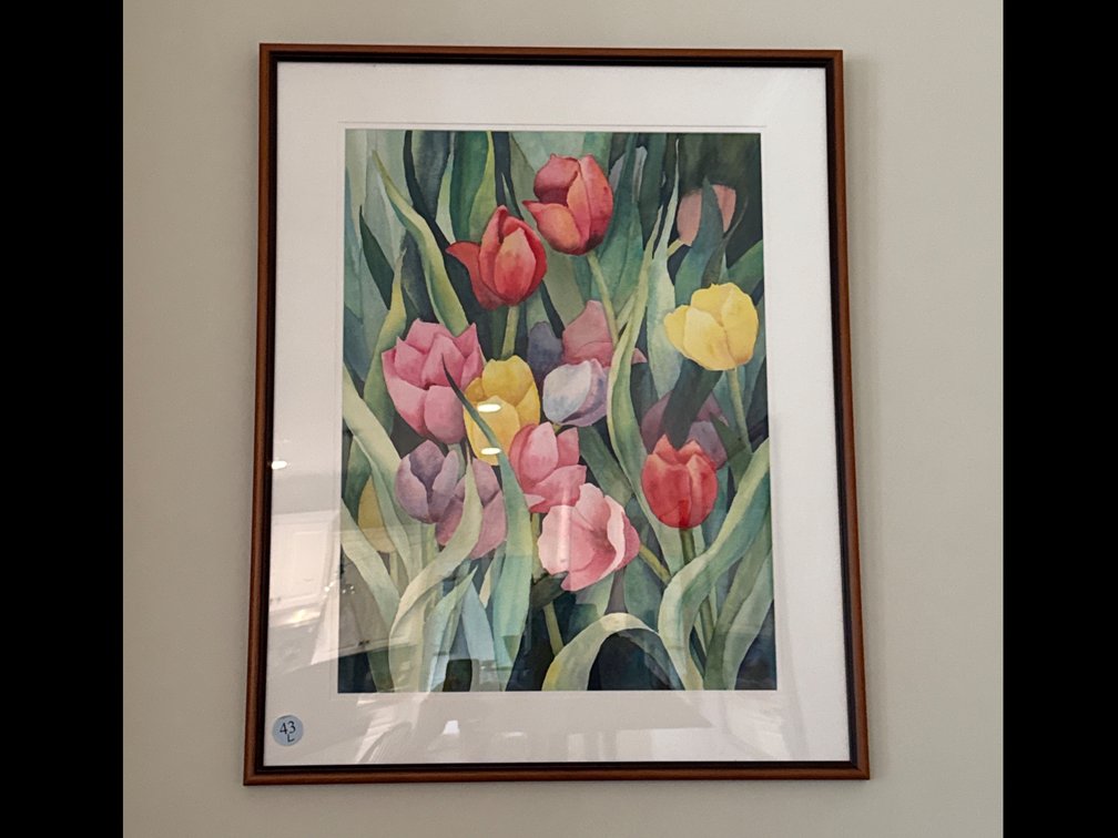 Signed Framed Watercolor of Tulips