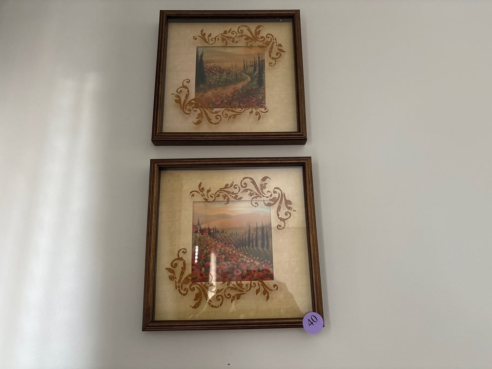 Pair of Framed Landscape Prints