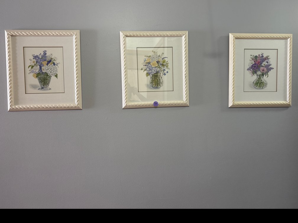 Set of Matching Framed Floral Prints
