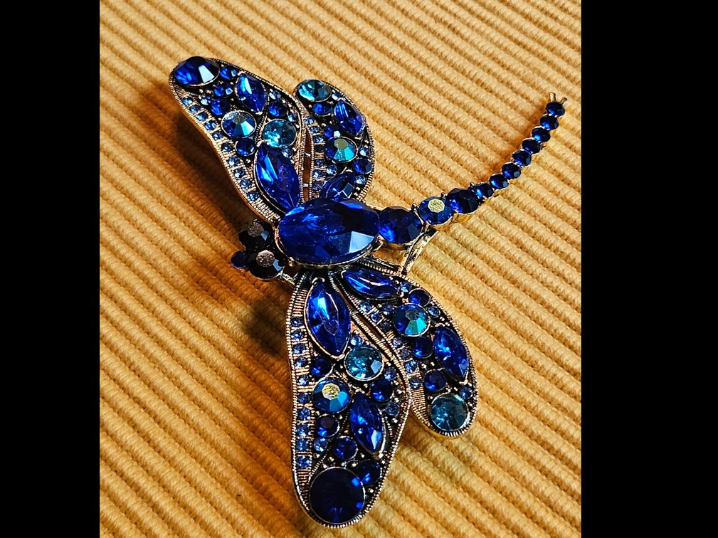 Large Dragonfly Brooch