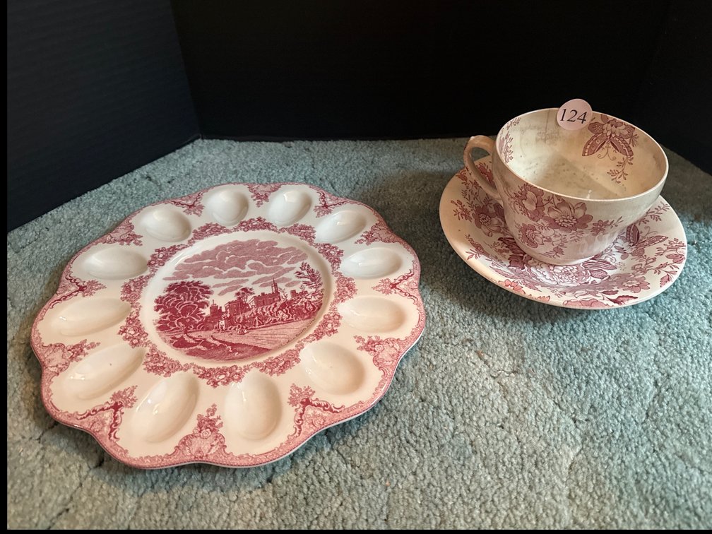 Transferware Ironstone Large Cup and Saucer and Deviled Egg Tray